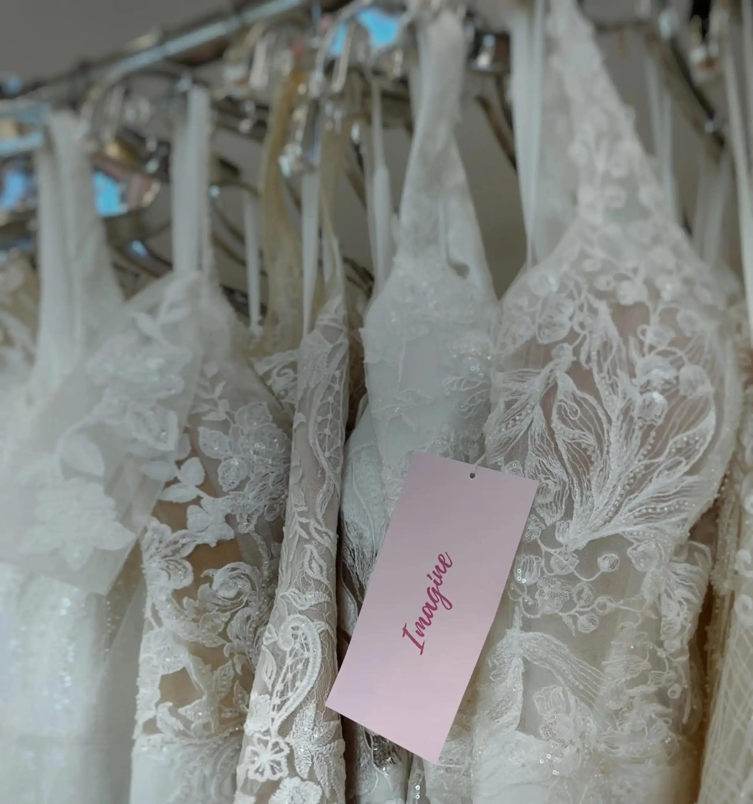 Unexpected Magic: Navigating the Journey to Finding Your Dream Wedding Dress. Desktop Image