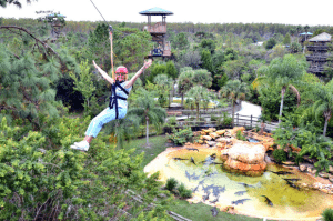 Bachelorette Party Alternatives in Florida - Zip lining