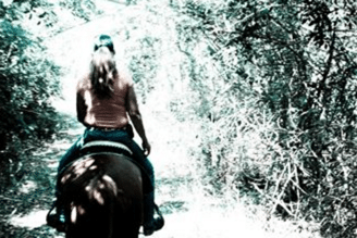 Bridal Bachelorette Party Horse Back Riding Delray Beach, Florida